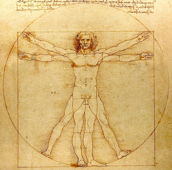 Leonardo Da Vinci Vitruvian Mand