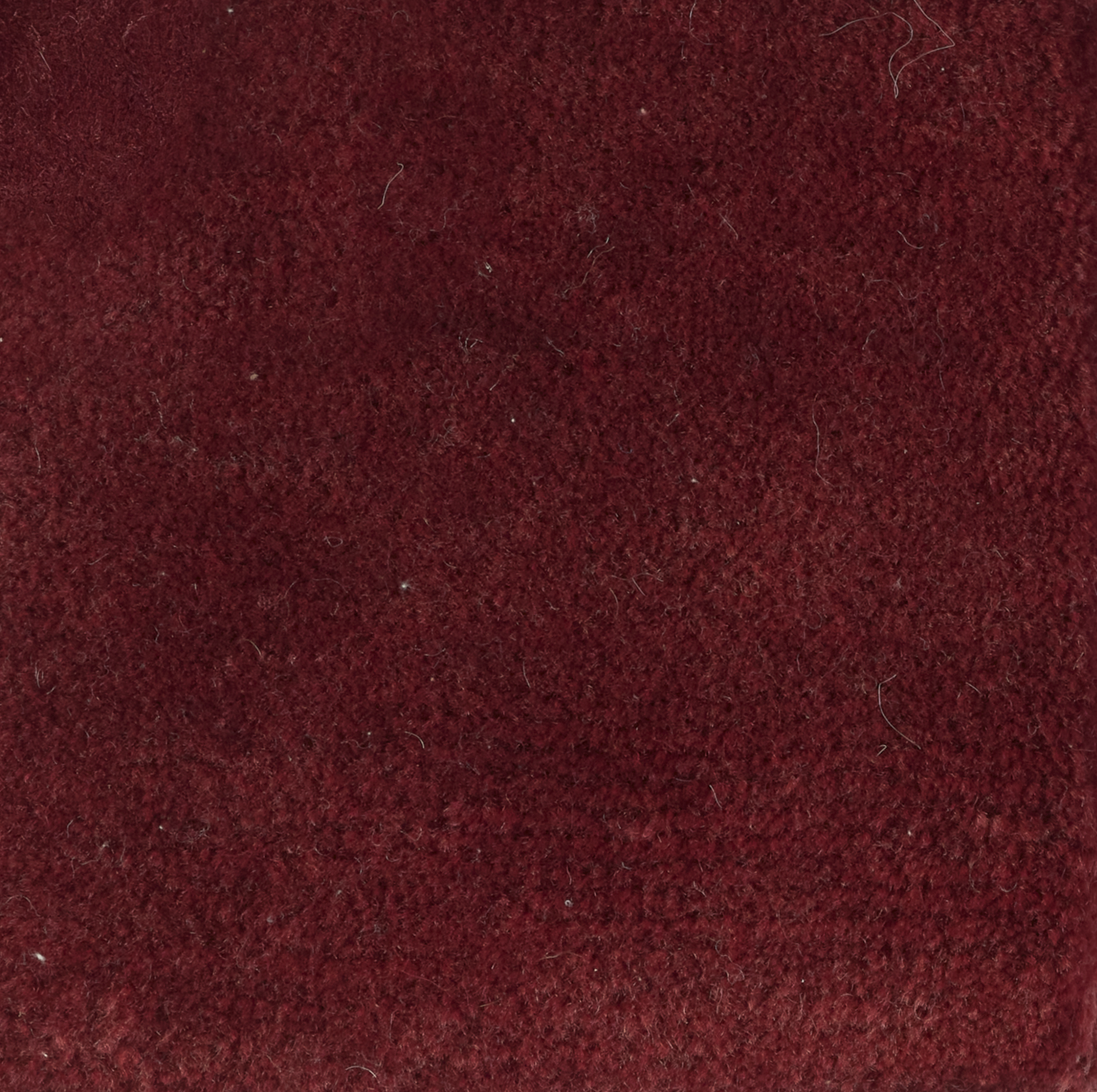 Rhône - Tibetan Handknotted